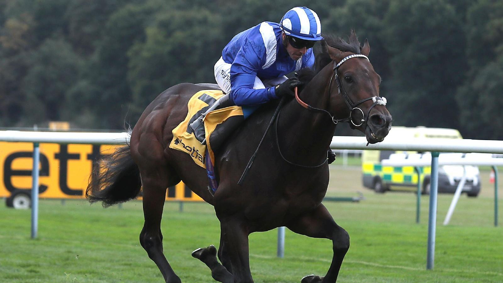 25-1 Upset! Montassib Shocks Haydock In Betfair Sprint Cup