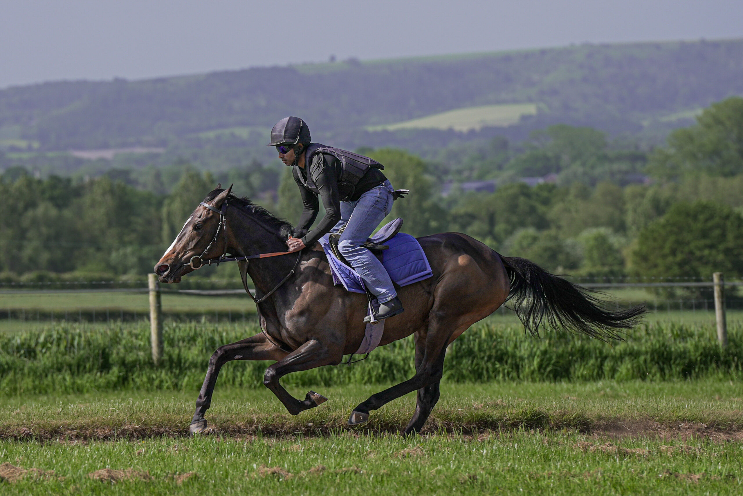 Absurde vs. Caius Chorister: A Scintillating Chester Stakes Showdown Live on Sky Sports Racing