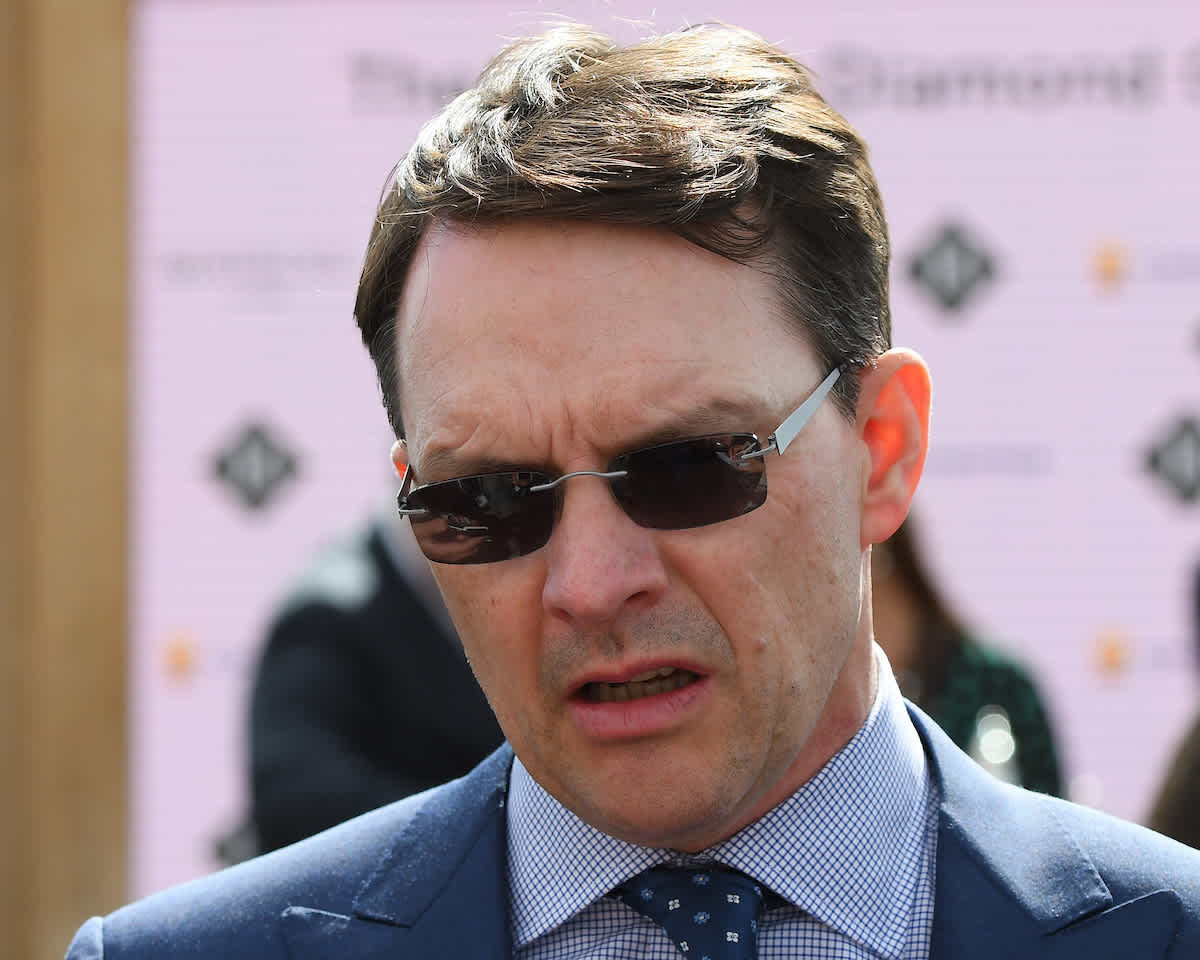 Aidan O'Brien Reveals Plans for Stable Stars at Irish Champions Festival