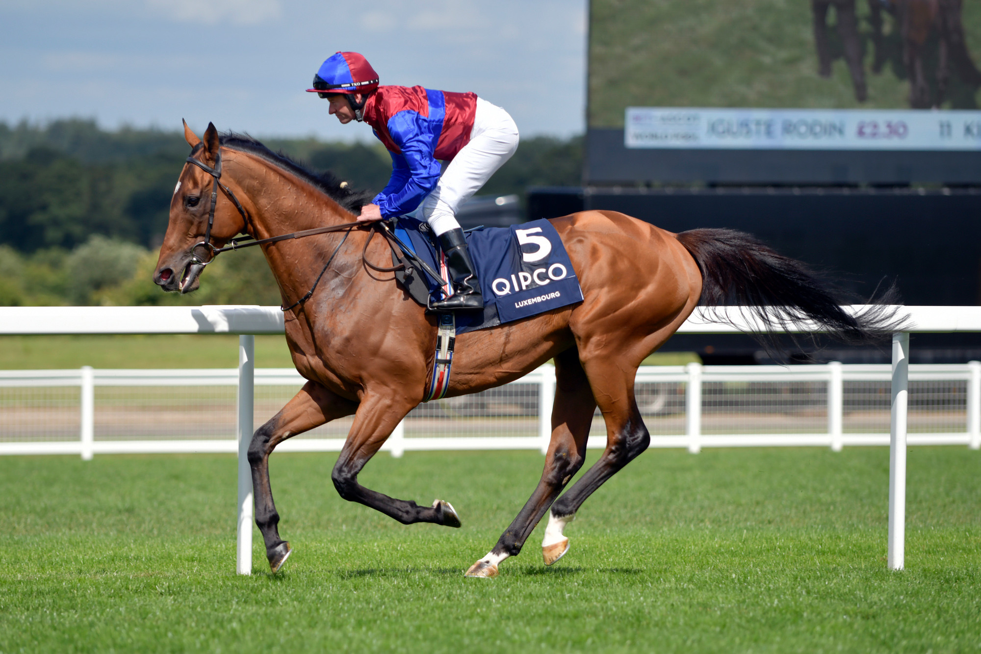 Aidan O'Brien's Hong Kong Horse Racing Assault: Can Luxembourg Secure a Final Triumph?