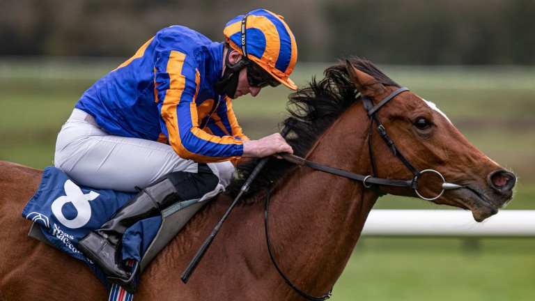 Aidan O'Brien's Top Contenders for Newmarket's Cheveley Park & Middle Park Stakes