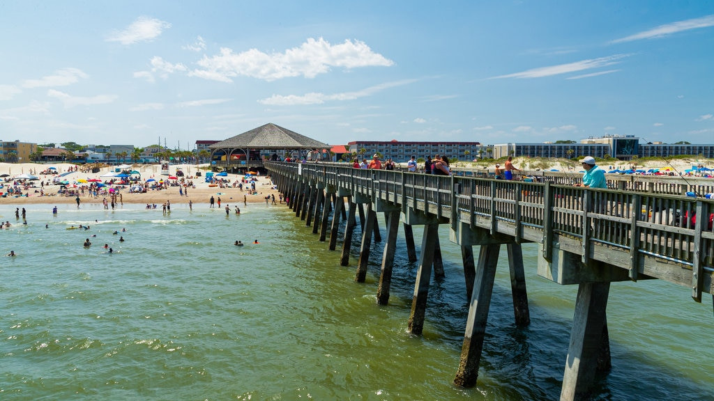 Alligator Spotted Off Georgia Beach: Tybee Island Issues Swimming Warning