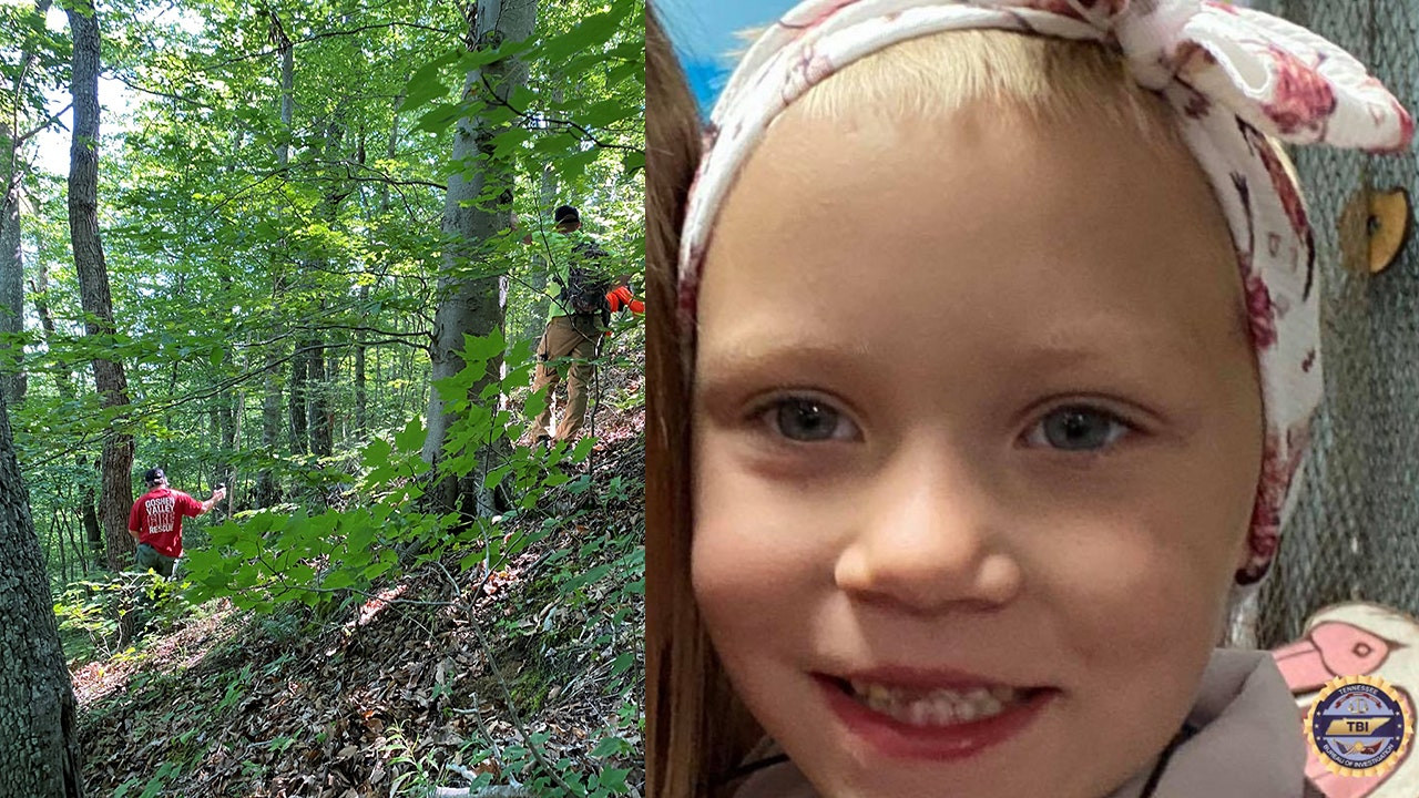 Amber Alert for Missing Five-Year-Old in Quebec Cancelled: Child Found Safe in Ontario