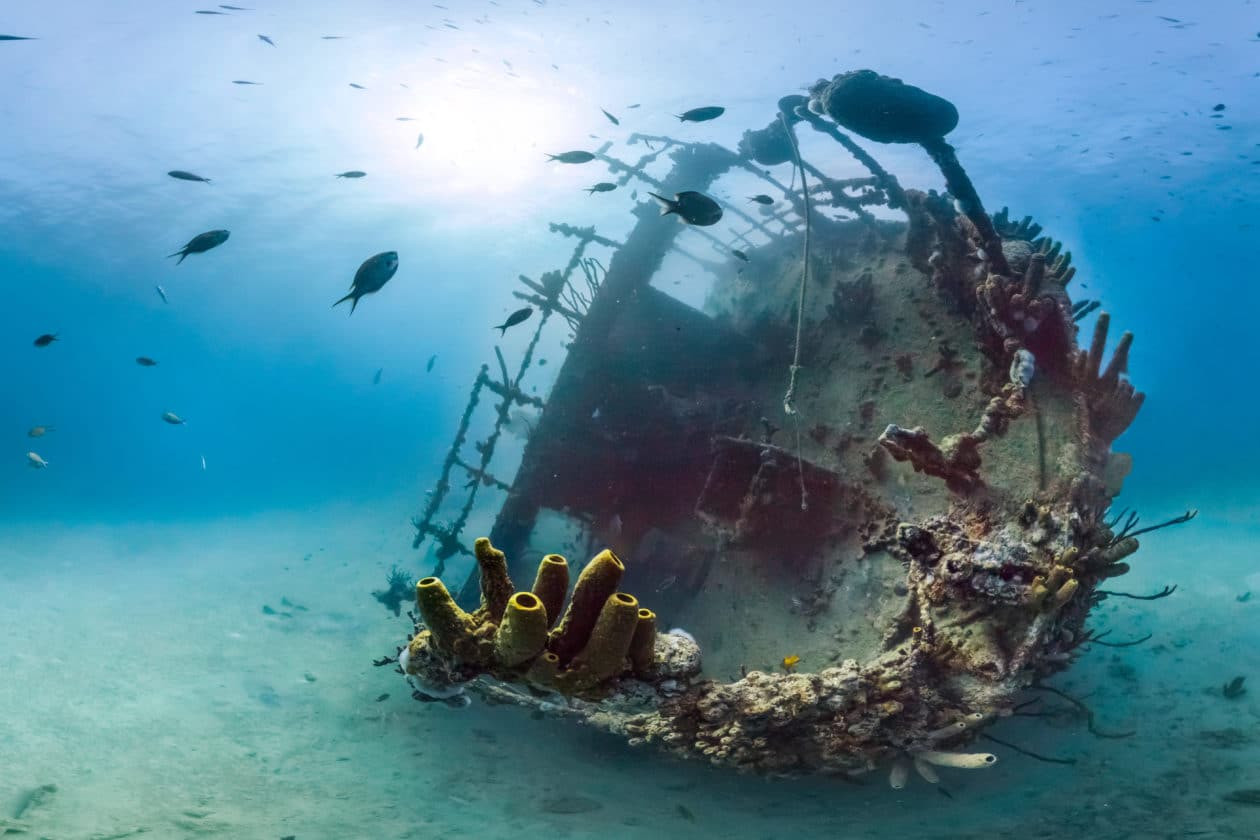 Ancient Greek Shipwreck Carrying 'Atlantis' Metal Raised From Sicilian Seabed