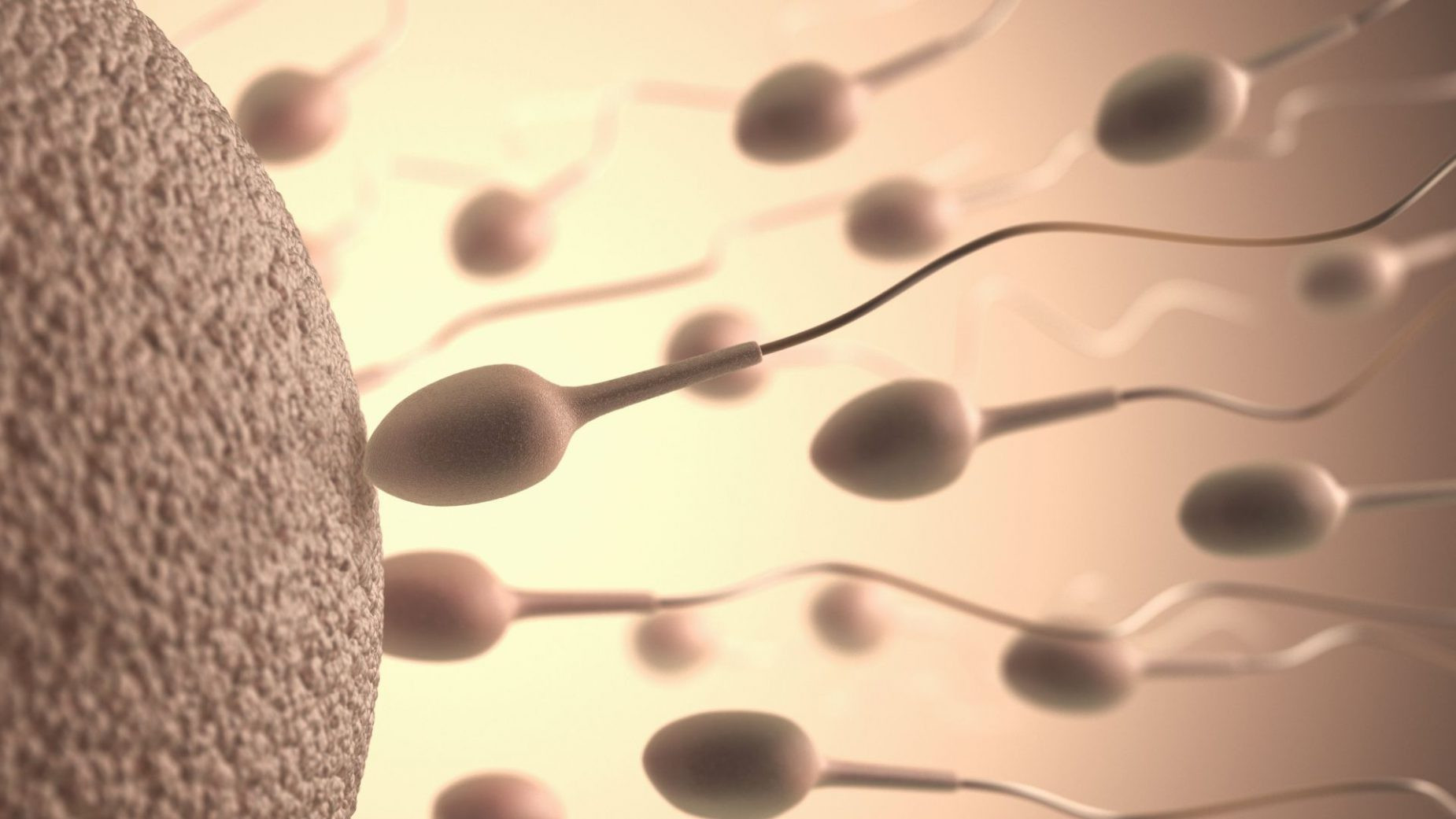 Assisted Reproductive Technology Market Booming: A $100 Billion Industry by 2030?