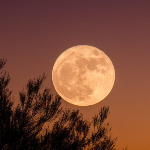 August's Supermoon Blue Moon: What It Means for Your Zodiac Sign