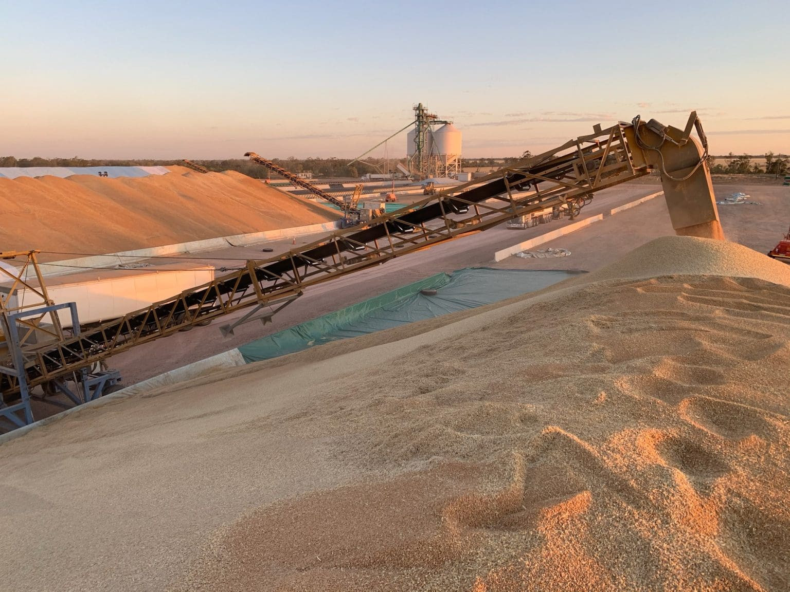 Australian Wheat Exports Soar 19% in July: Indonesia & Yemen Lead the Charge