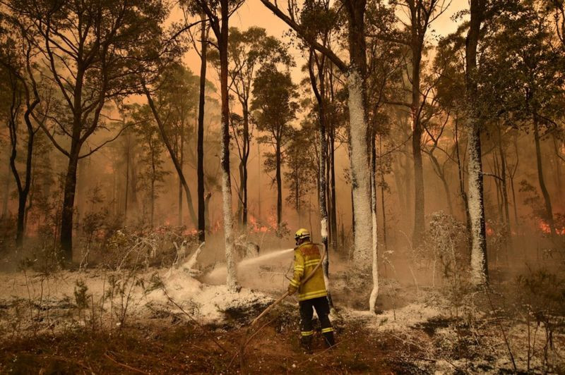 Australia's Devastating Bushfires: A Nation United in Recovery, A Climate Change Warning?