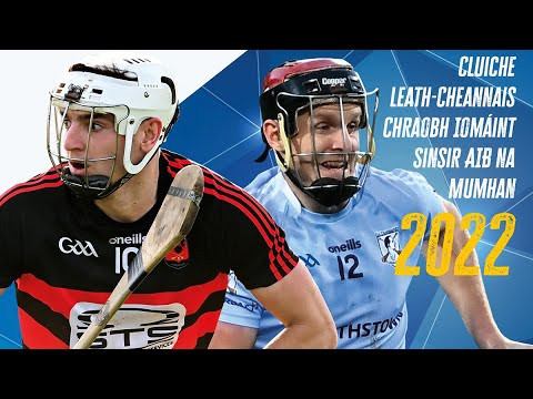 Ballygunner's Stunning 10-Point Victory: Munster SHC Semi-Final Recap