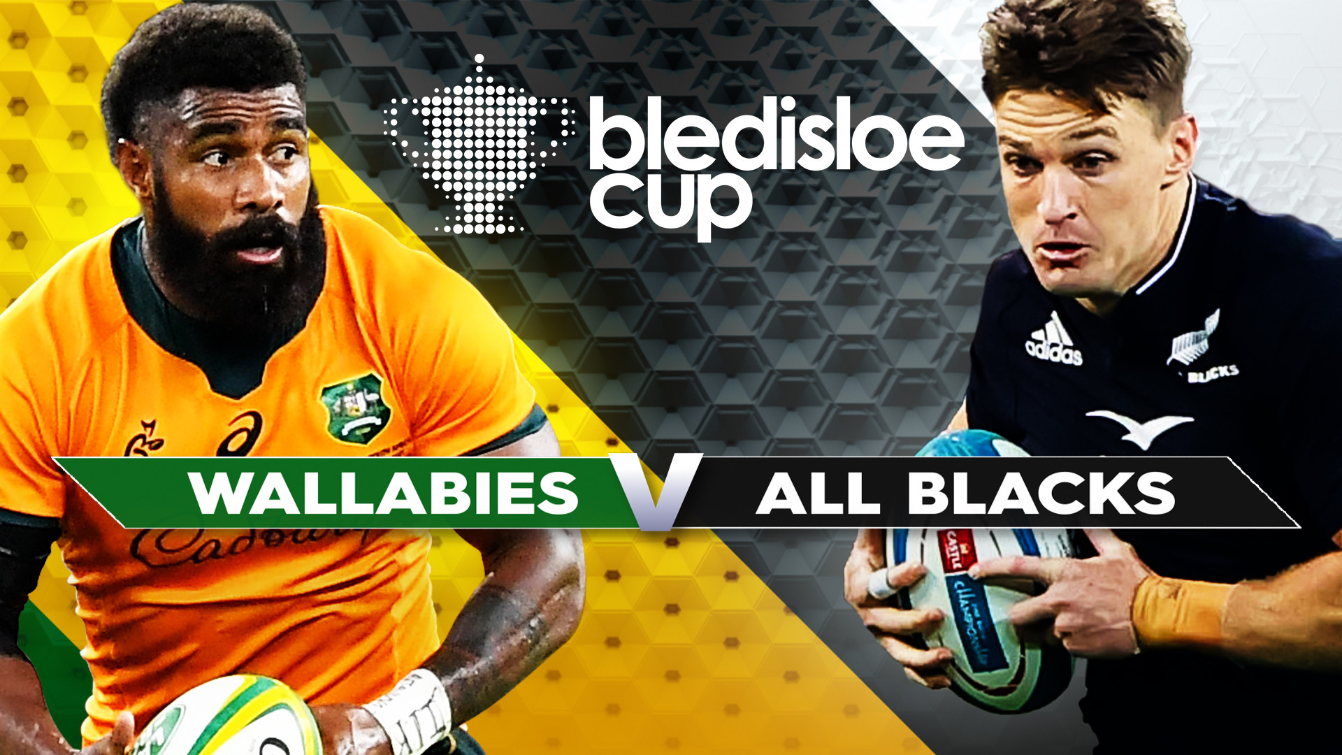 Bledisloe Cup 2024: Wallabies Fall Short in Wellington as All Blacks Dominate