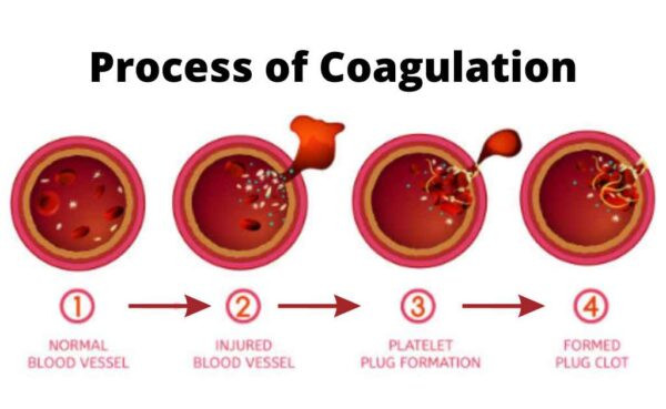 Blood Coagulation Testing Market: A Thriving Industry with a Projected Value of $1.62 Billion