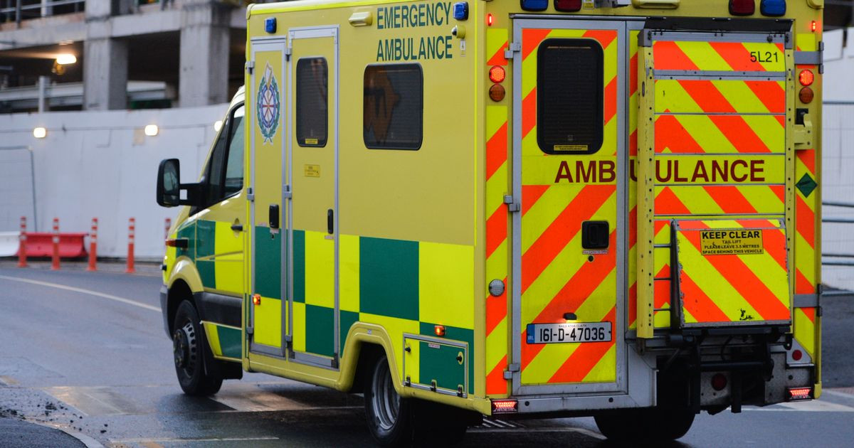 Body Recovered from Water in Cork Harbour: Investigation Underway