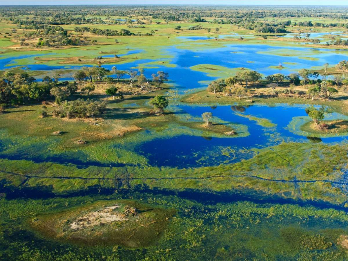 Botswana’s Biodiversity: Can Eco-Tourism and Credits Save the Okavango Delta?