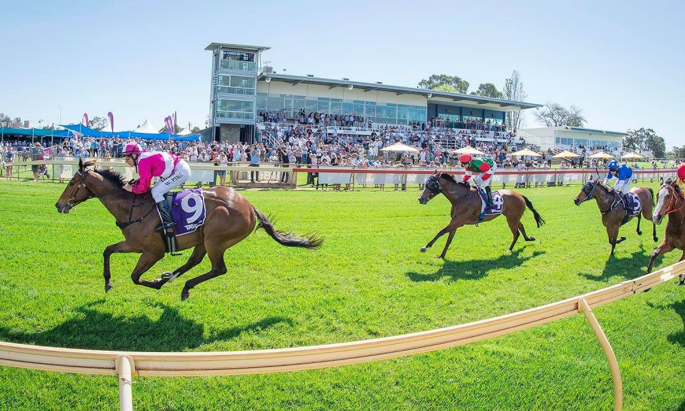 Bunbury Racing Tips: Expert Picks and Best Bets for Thursday's Races