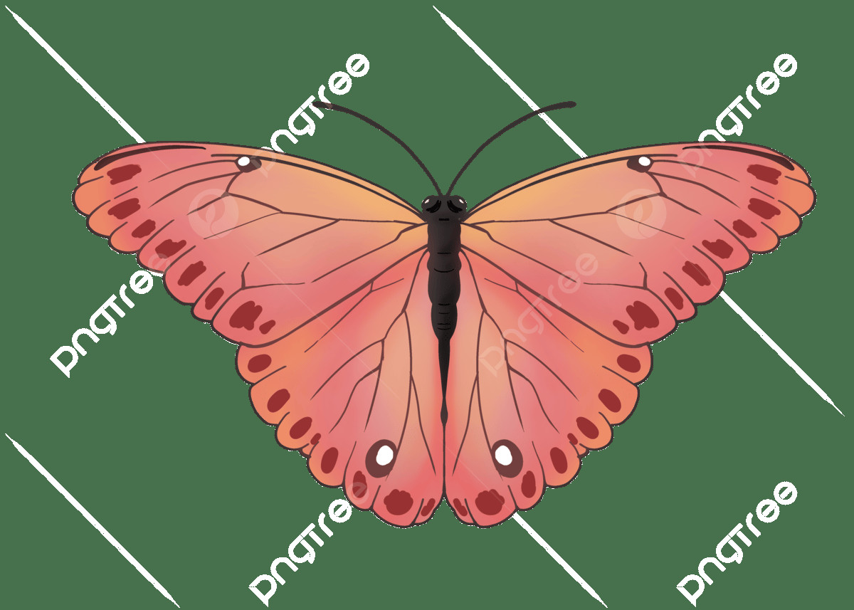 Butterfly Wings: RNA, Not Protein, Holds the Key to Color Patterns