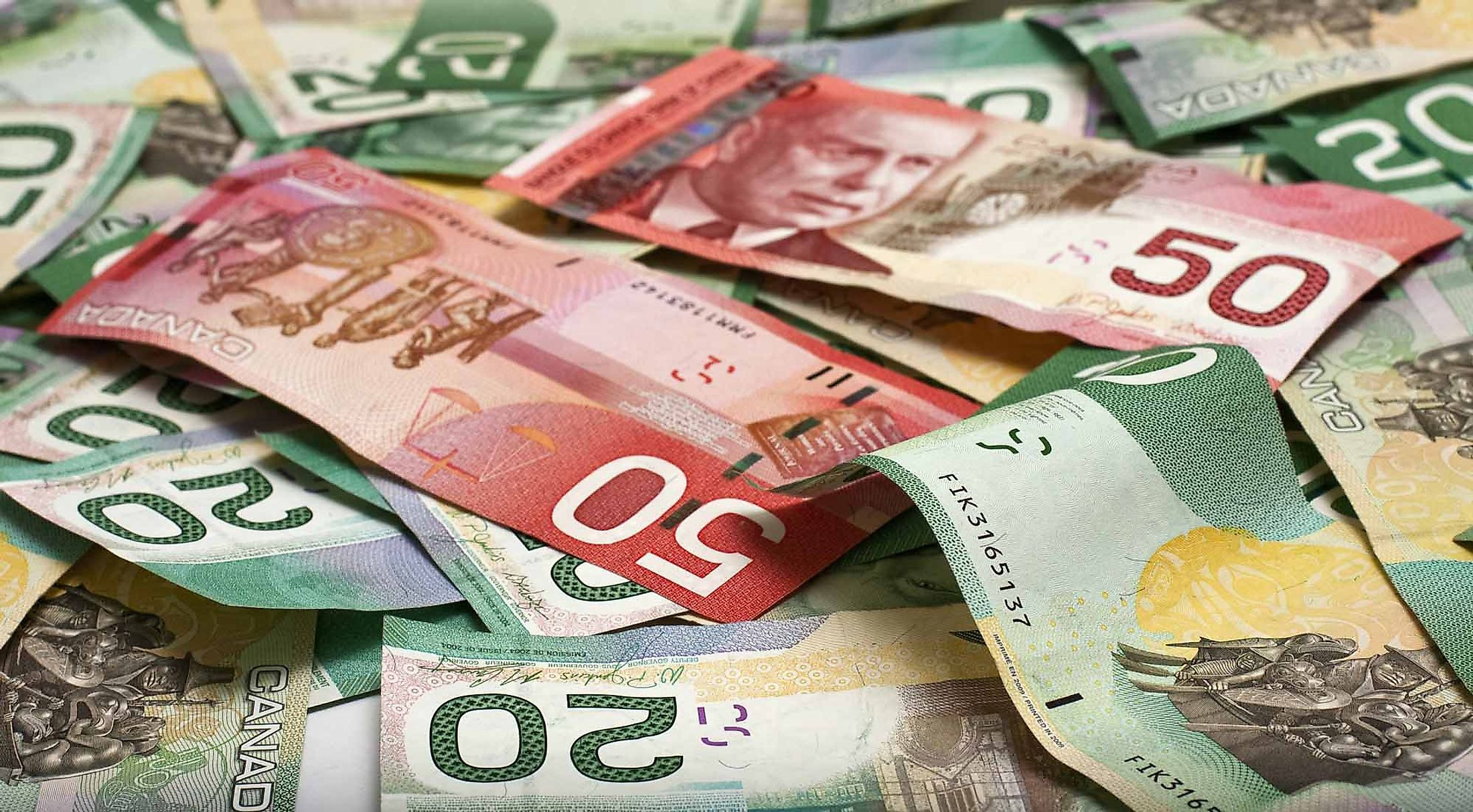 Canadian Dollar Defies Bank of Canada's Rate Cuts, Options Traders Expect Even Bigger Rally