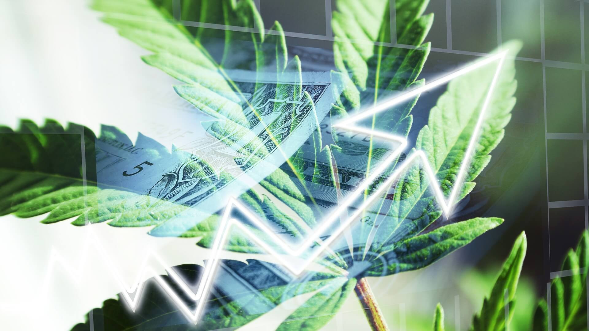 Cannabis Investment: Why Now Is The Time For Advisors To Dive In