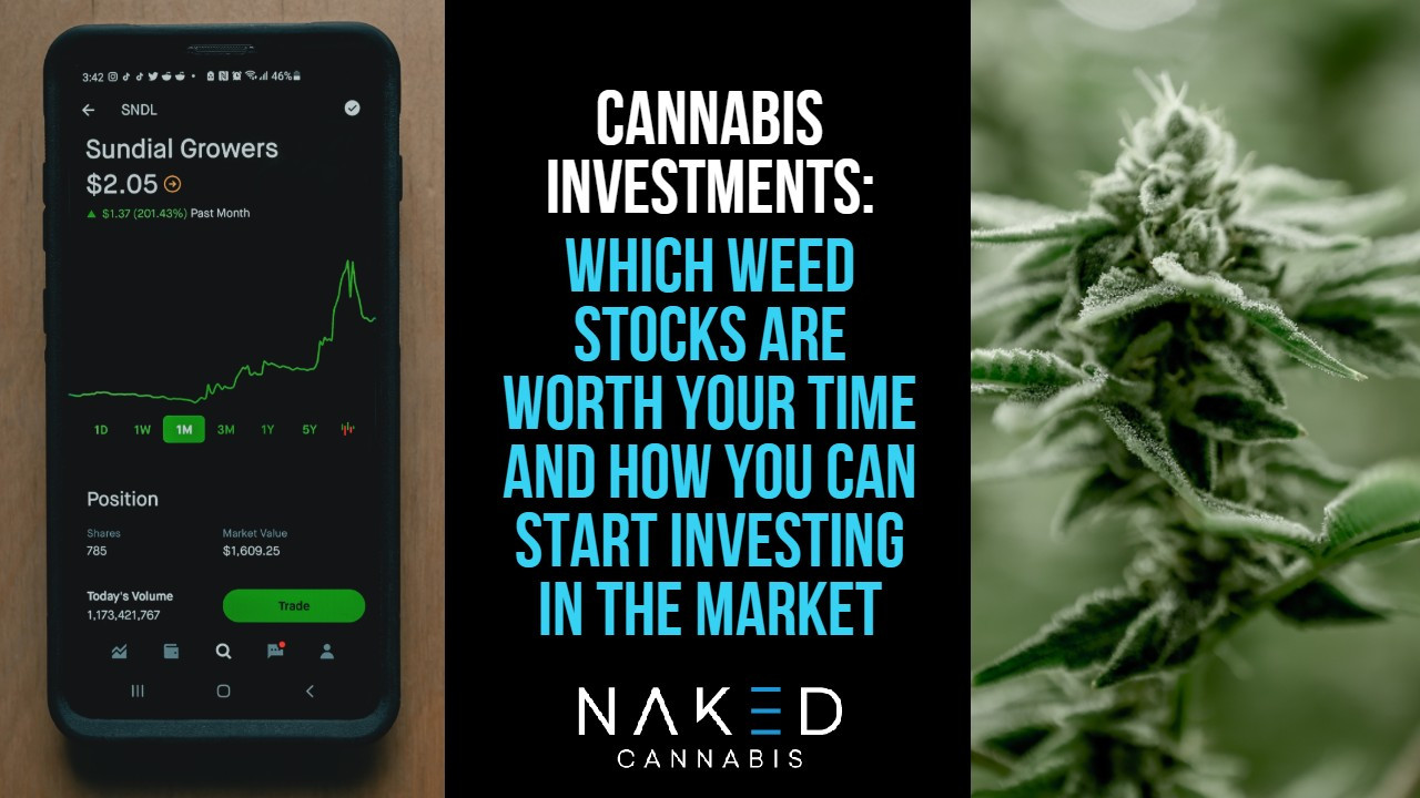 Cannabis Investment: Why Now Is The Time For Advisors To Dive In