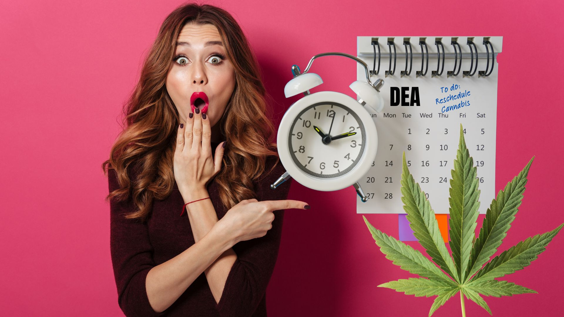 Cannabis Rescheduling Delayed: What Does This Mean For The Future Of The Industry?