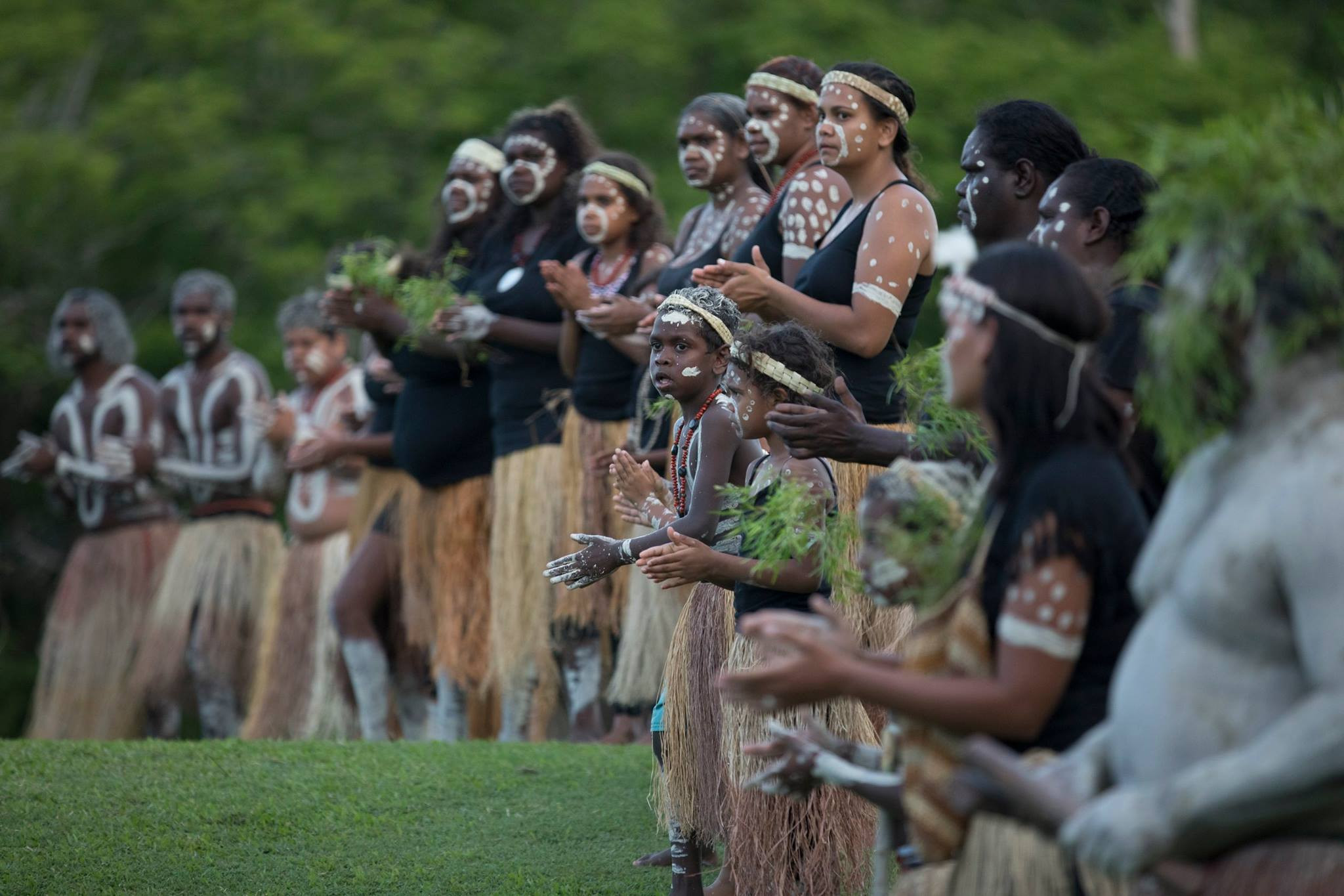 Cape York Leaders Reject Health Investigation, Accuse Government of 'Rubber Stamp' Process