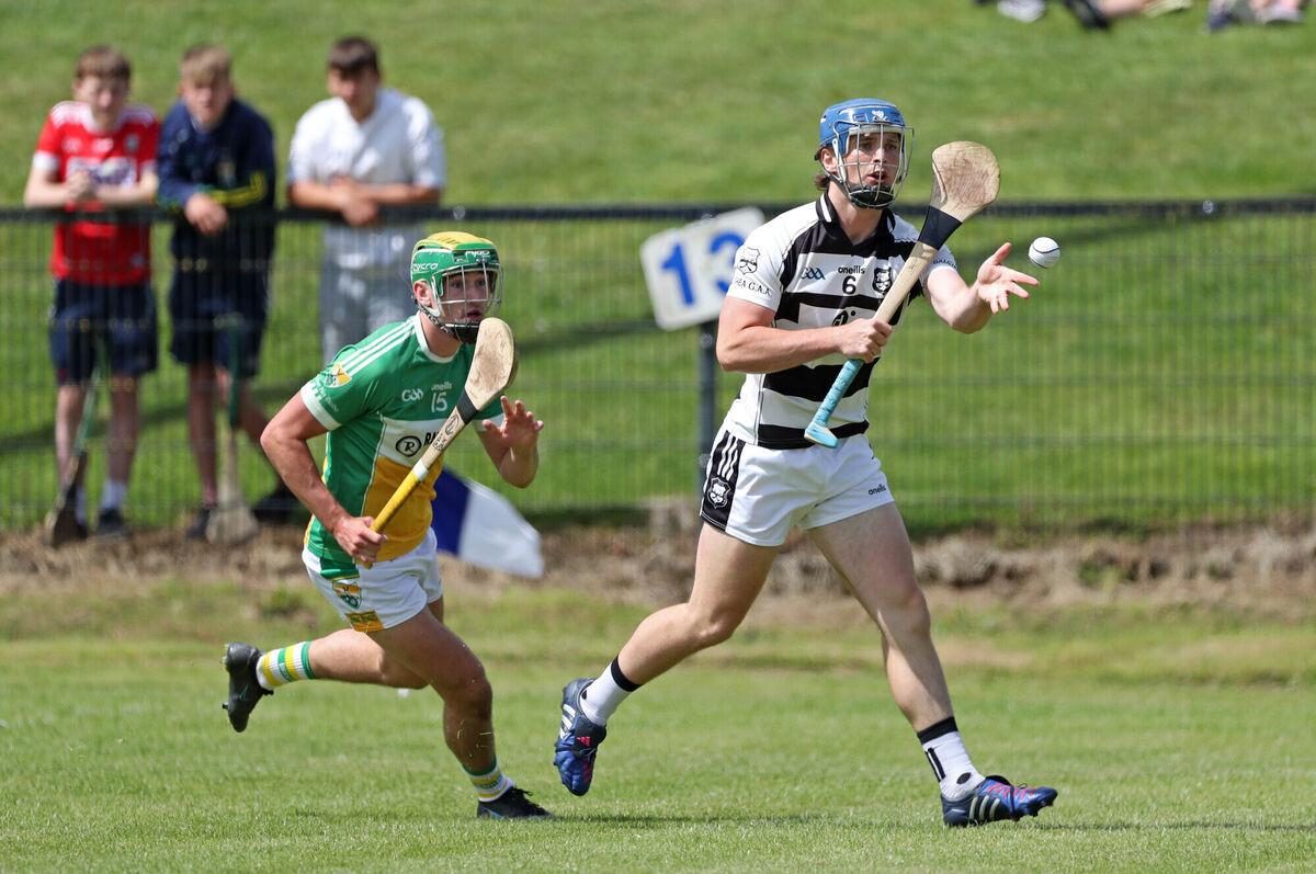 Castlelyons Dominate Cloyne in SAHC Clash: Fenton Stars with 11 Points