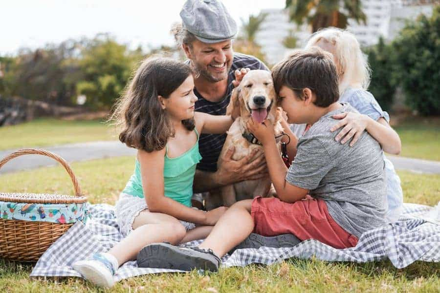 Celebrate National Dog Day with These Must-Read Books About Our Canine Companions