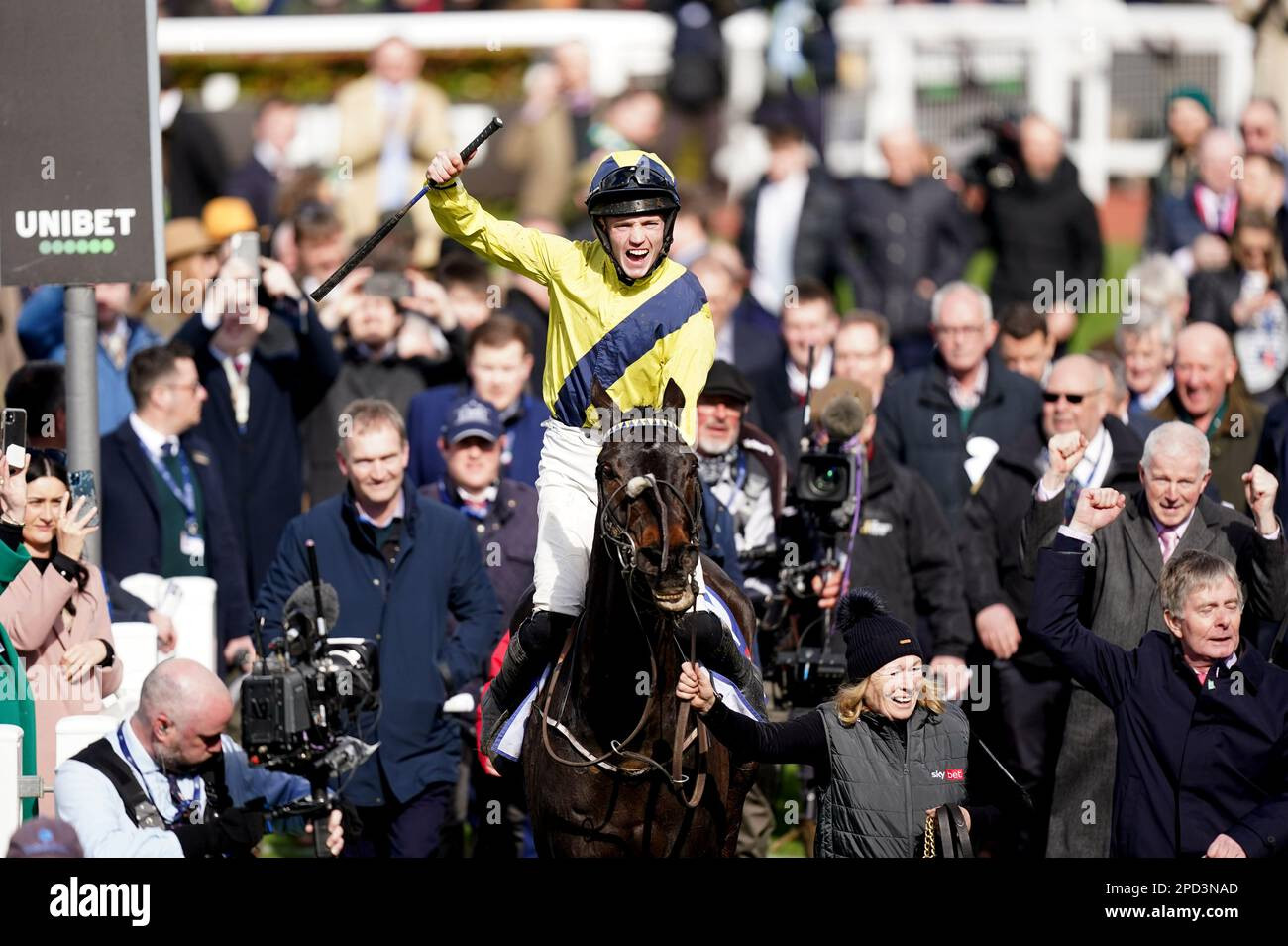 Cheltenham Festival Winner Michael O'Sullivan Dies Aged 24 After Tragic Fall