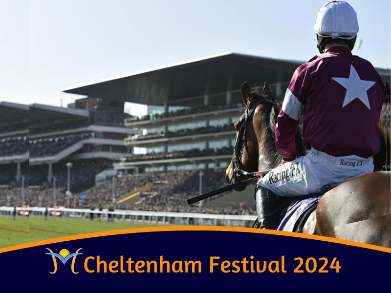 Cheltenham Races 2024: Jango Baie's Stunning Chase Debut & King Turgeon's Grand National Ambitions