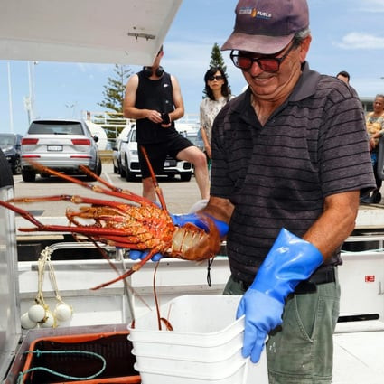 China Lifts Ban on Australian Lobsters: Trade War Ends After Years of Tensions