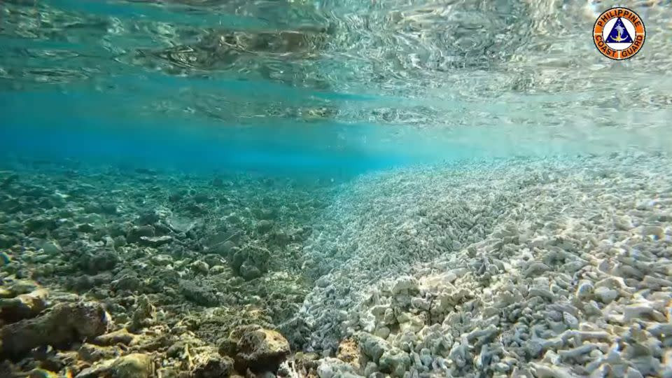 China's Coral Reef Destruction in the West Philippine Sea Sparks Urgent Call for International Collaboration