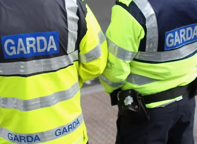 Cork Feud: Notorious Criminal Gavin Sheehan Stabbed in Daylight Attack