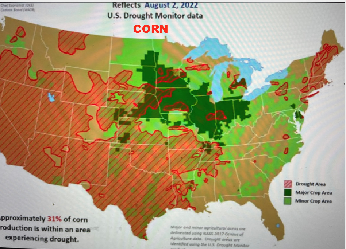 Corn Sweat: How Millions Of Acres Of Corn Are Making The US Heatwave ...