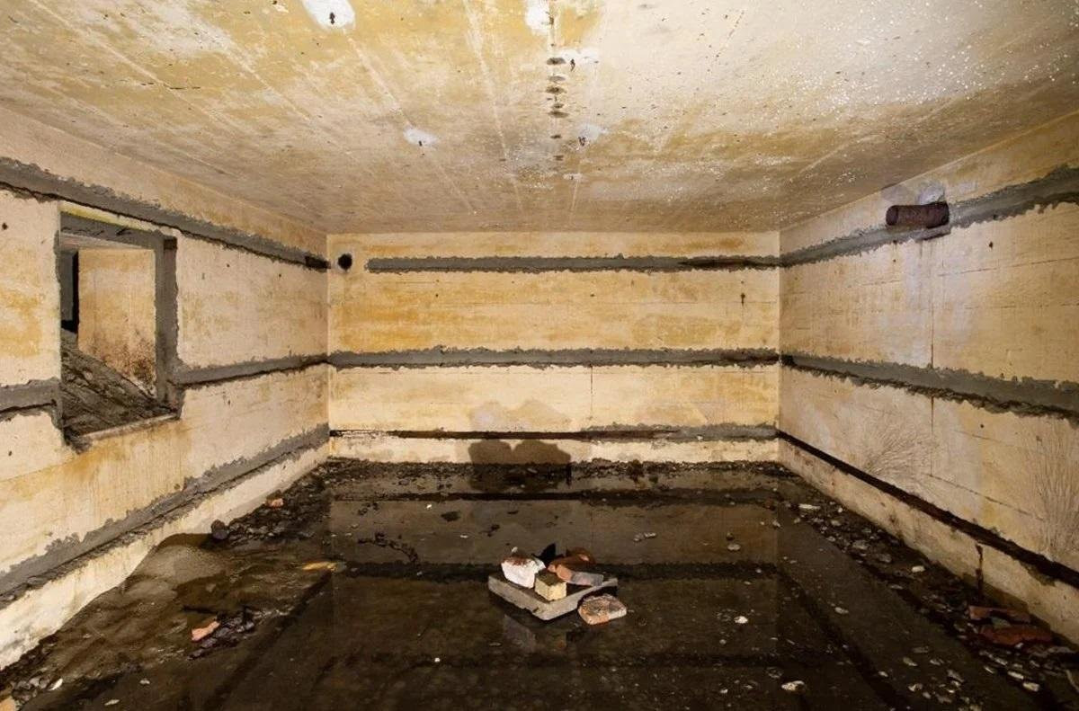 Couple Unearths WWII Bunker Under Their Summerhouse: A Rare Discovery!