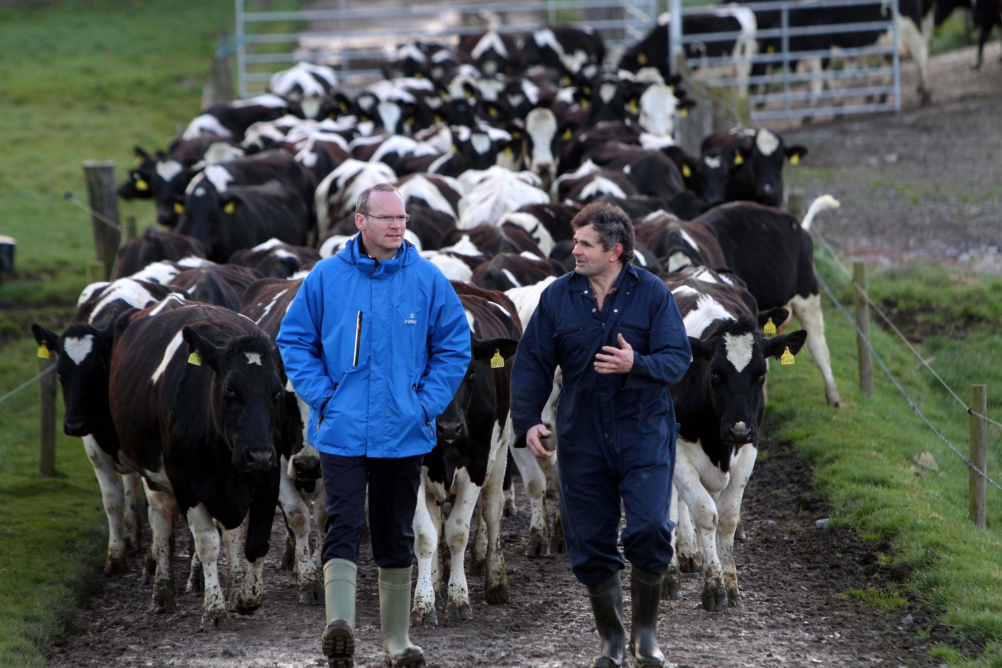 Dairy Farmers in Northern Ireland Focus on Milk Components for Profitability