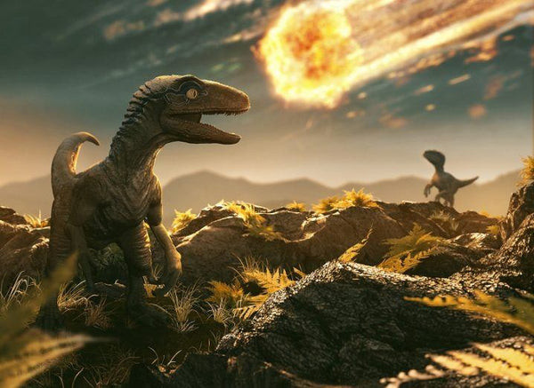 Dinosaur-Killing Asteroid Was a 'Carbonaceous' Space Rock From Beyond Jupiter: Study