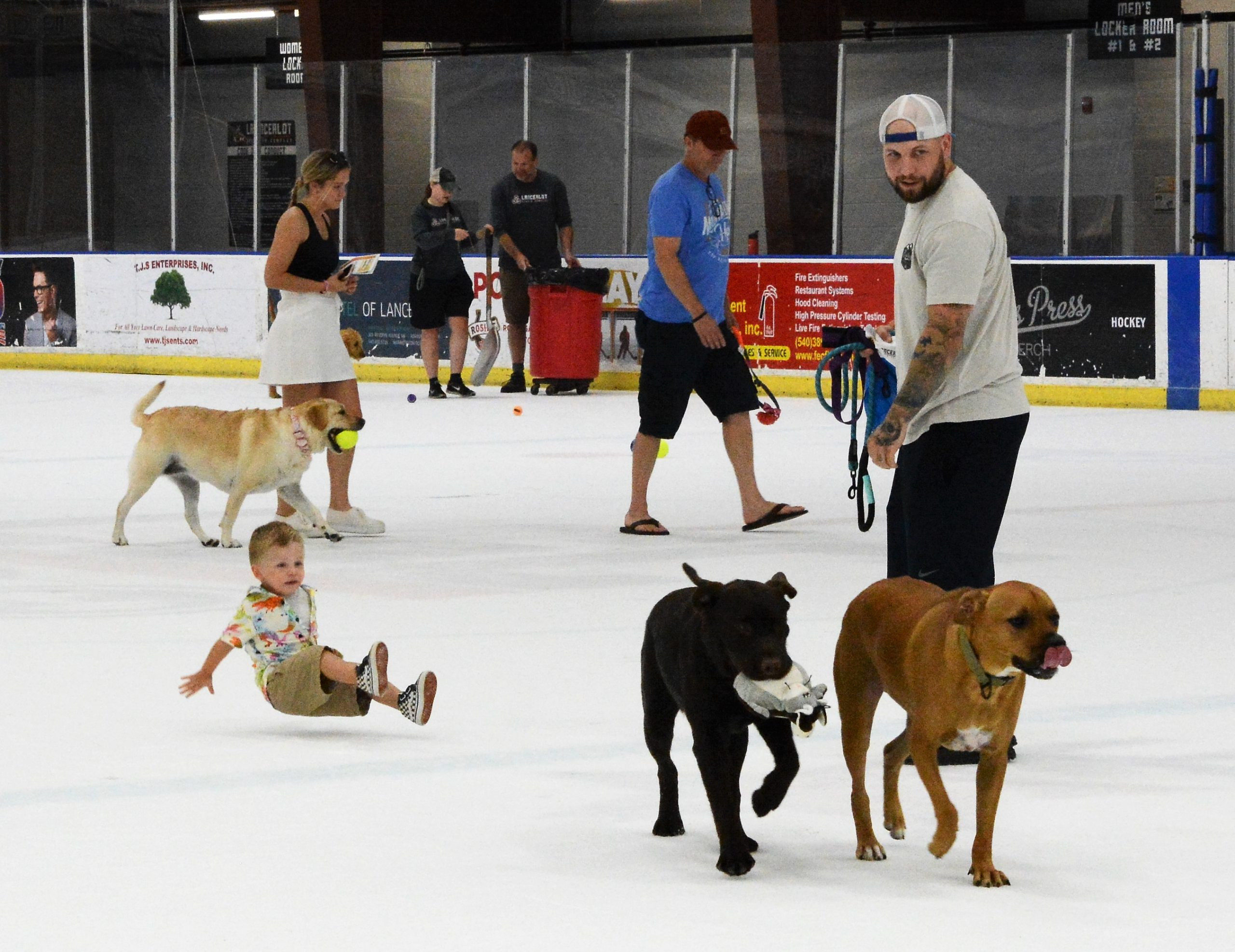 Dog Days of Summer: Hundreds of Dogs Celebrate in Vinton, Virginia