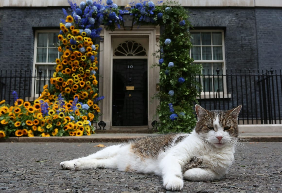 Downing Street Officials Draw Up Plans for the Death of Larry the Cat