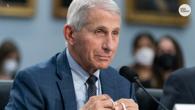 Dr. Fauci Hospitalized for West Nile Virus: What You Need to Know About the Mosquito-Borne Illness