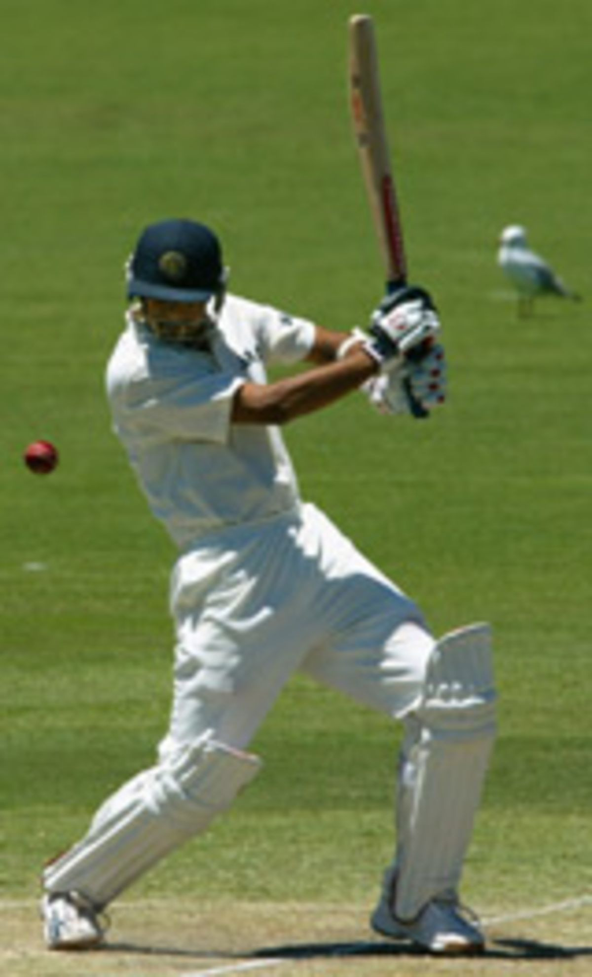 Dravid's Adelaide Masterclass: The 2003 Partnership That Defined a Generation