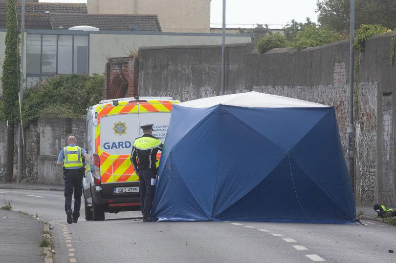 Dublin Hit-and-Run: Man Remanded in Custody After Couple's Tragic Death