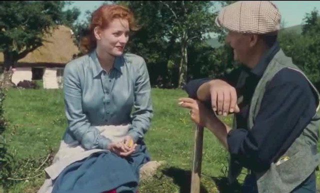 Dublin Honors Hollywood Legend Maureen O'Hara with Commemorative Plaque at Childhood Home