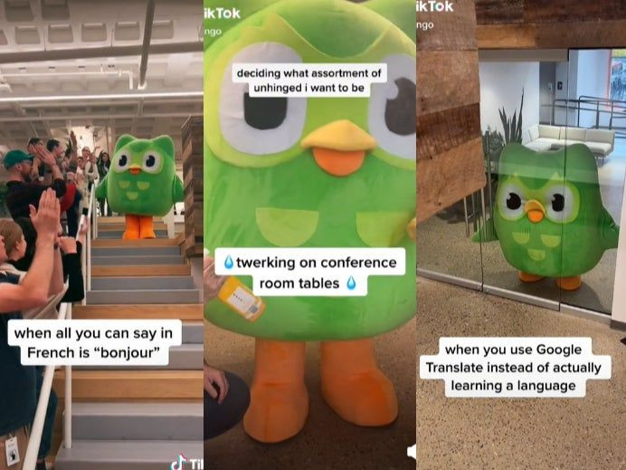 Duolingo's Beloved Owl Mascot, Duo, is Dead: Internet Reacts to Shocking News