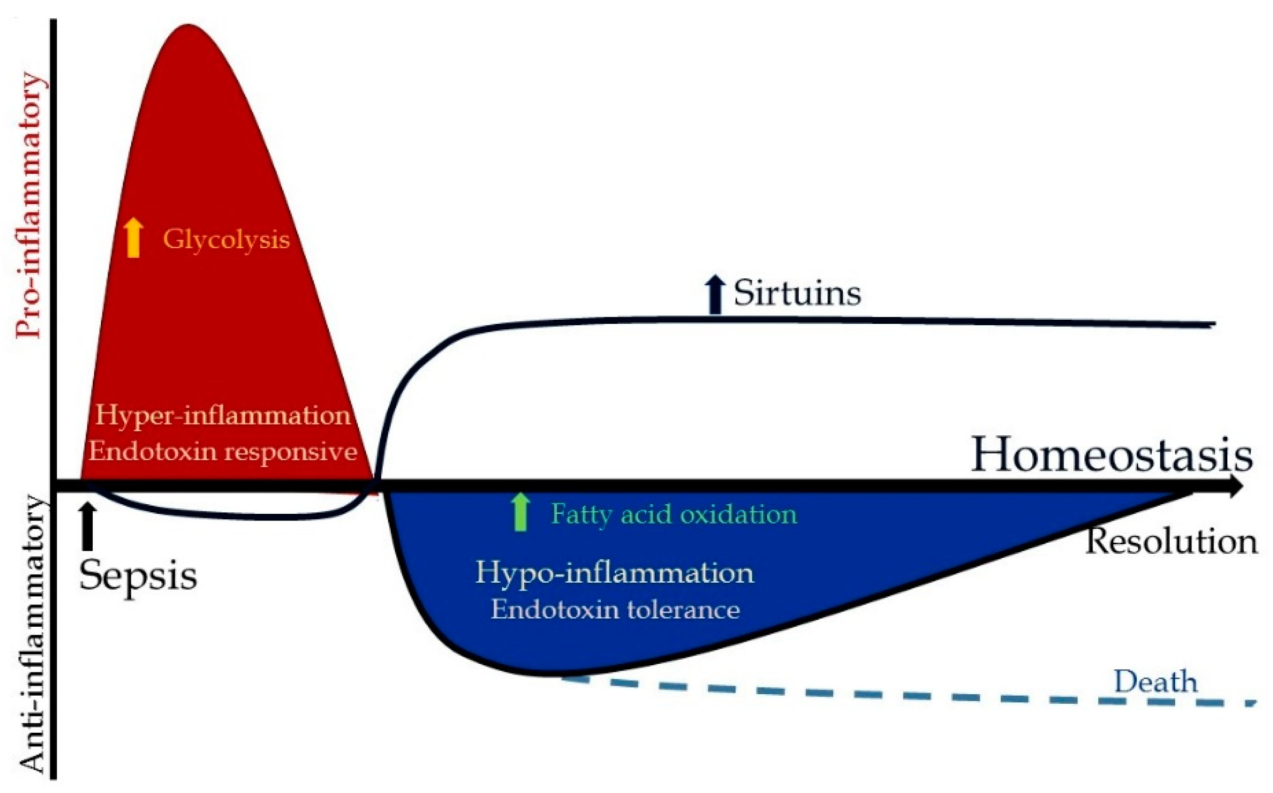 Dying Cells Trigger a Lethal Cascade in Sepsis: A New Understanding of This Killer Disease