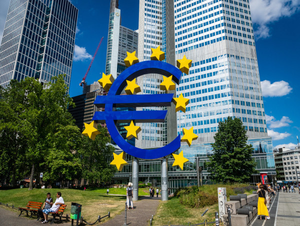 ECB Rate Cuts: Holzmann Slams 'Wrong' Economic Stimulus Move Amidst Hawkish Stance