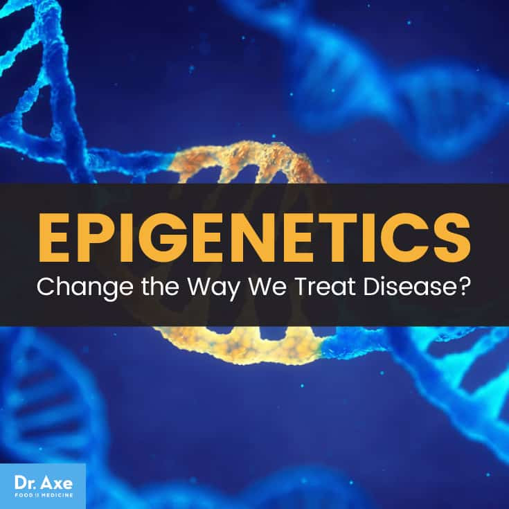 Epigenetics Companies: The Future of Disease Treatment?