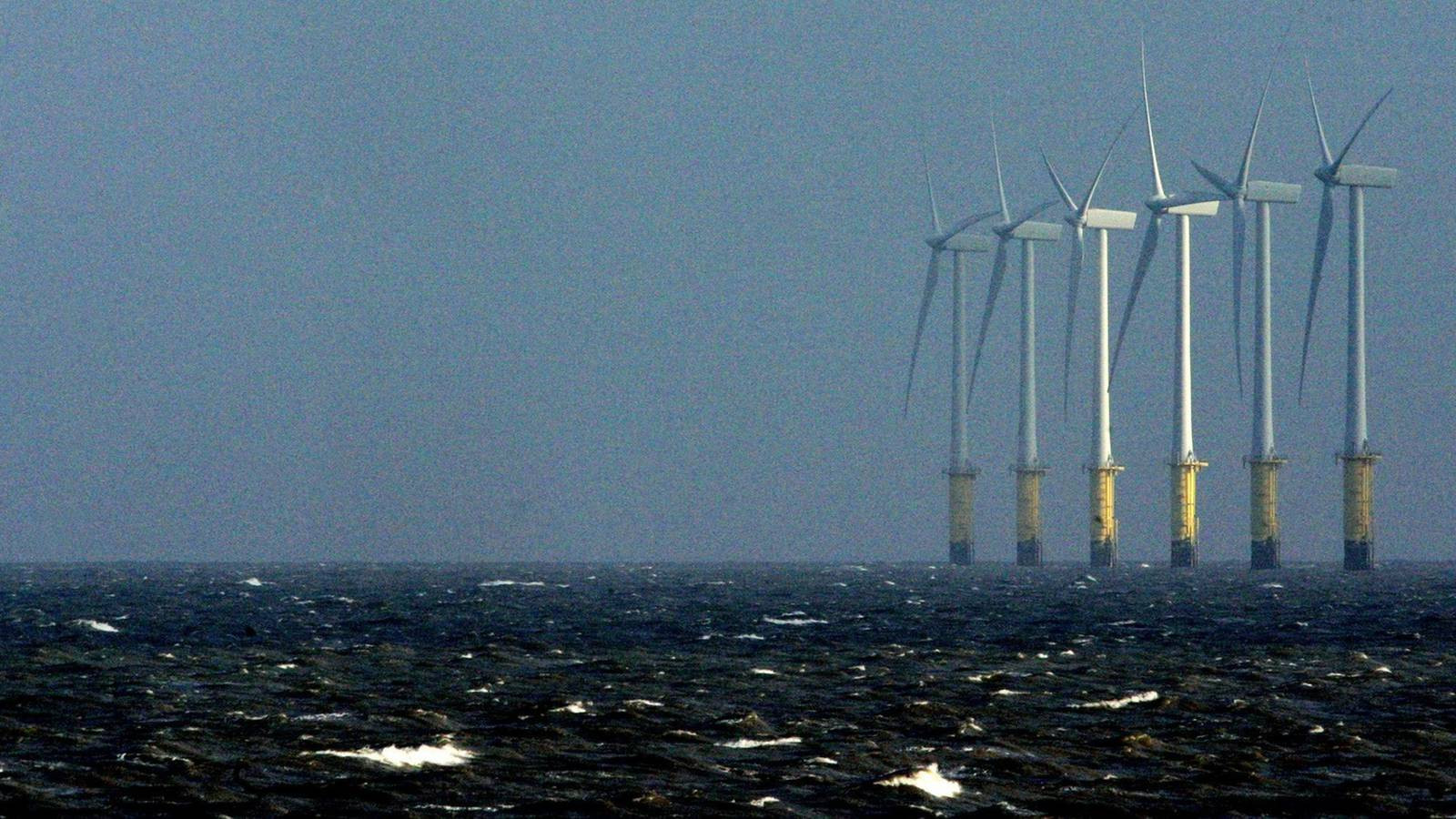 ESB Takes €135 Million Hit on Scottish Wind Farm: Is It Still a Profitable Project?