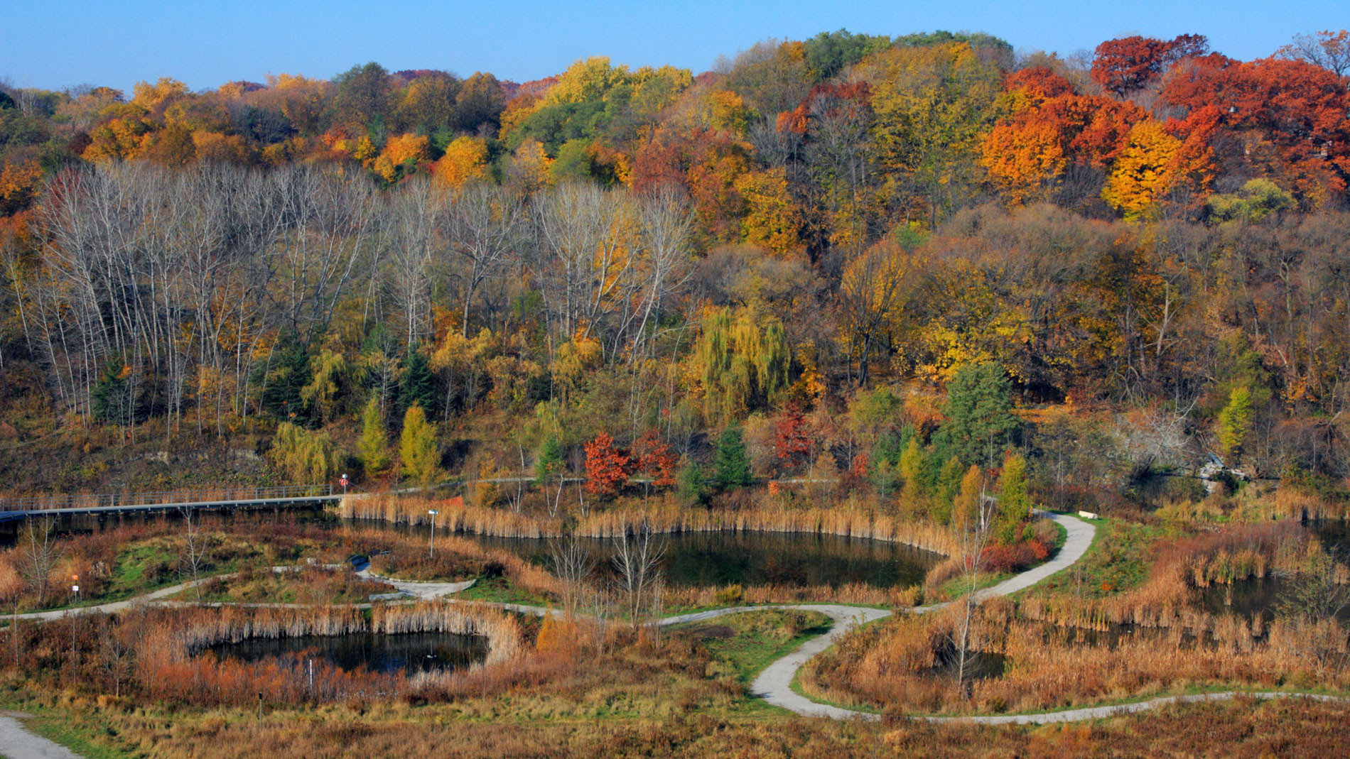 Evergreen Brick Works Gets $2.4 Million Federal Boost for Green Upgrades: Toronto Community Hub Gets Sustainable Makeover