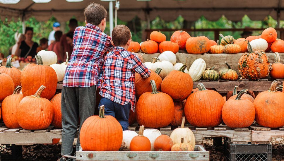 Fall Festivities in Boston: From Coffee Tastings to Oktoberfest