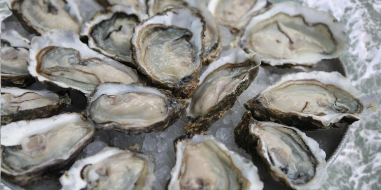 FDA Issues Warning: Don't Eat These Oysters From Maine - They Could Be Contaminated