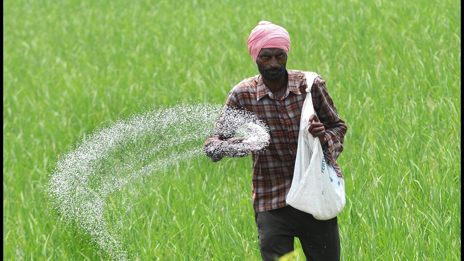 Fertiliser Ban Looms: Northern Ireland Farmers Urged to Act Now